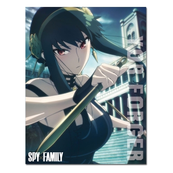 Eine wunderschöne Fleecedecke von Spy x Family.